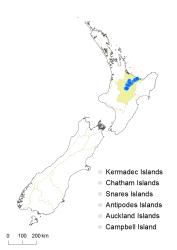 Dicranopteris linearis distribution map based on databased records at AK, CHR and WELT.
 Image: K. Boardman © Landcare Research 2015 CC BY 3.0 NZ